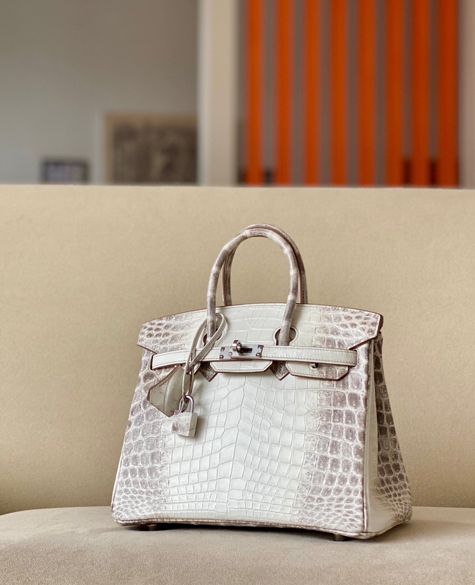 Birkin Himalayan  25-35 crocodile skin - MOVEMENTARTISAN