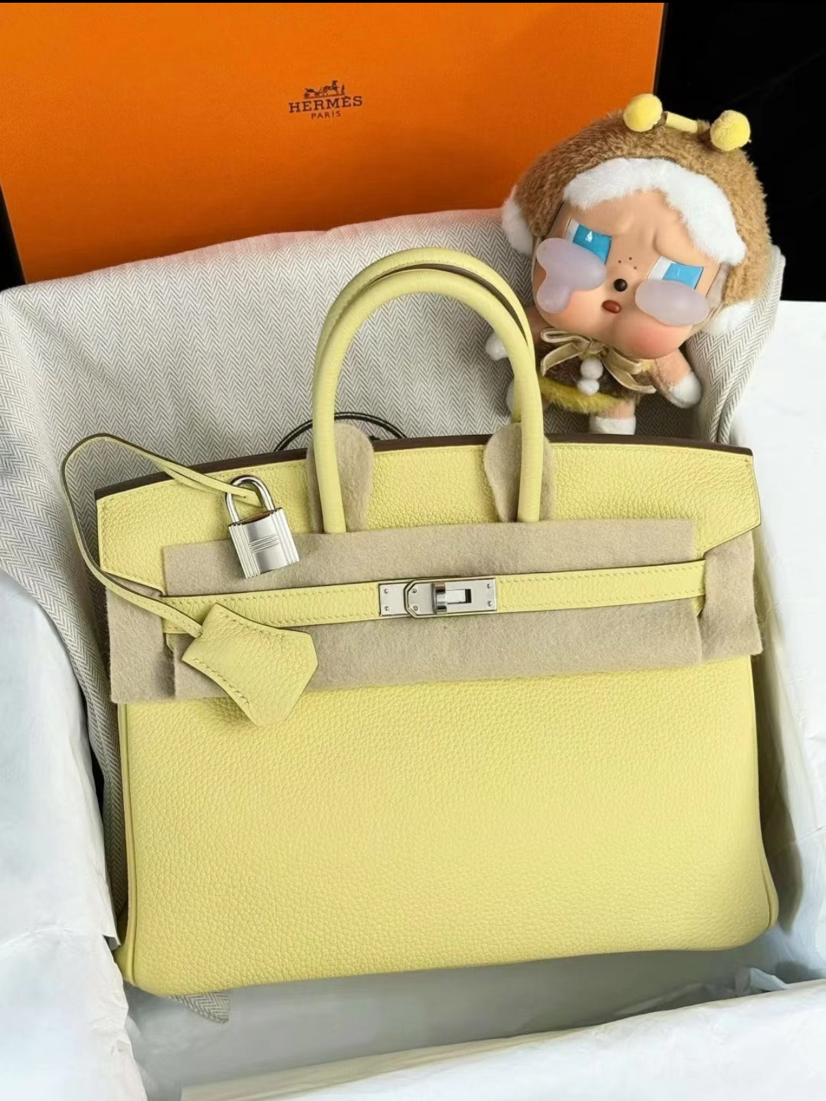 Birkin 25-30 Jaune Poulet EPSON custom - MOVEMENTARTISAN