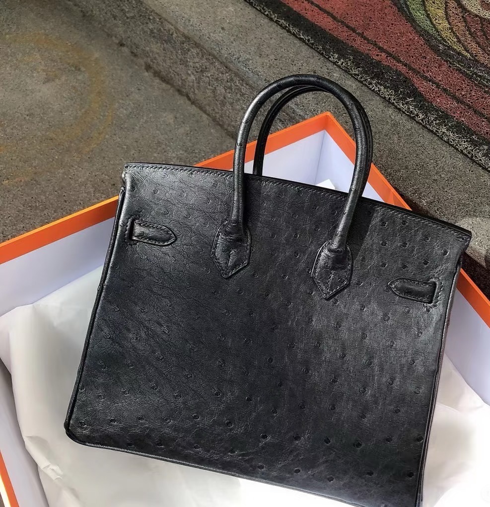 Birkin 25-35 Black Ostrich Leather with Black Buckle - MOVEMENTARTISAN
