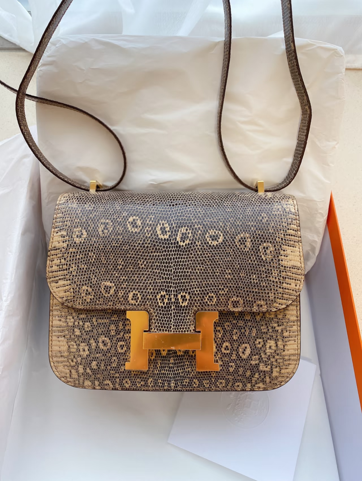 Constance 24 Lizard Leather Custom - MOVEMENTARTISAN