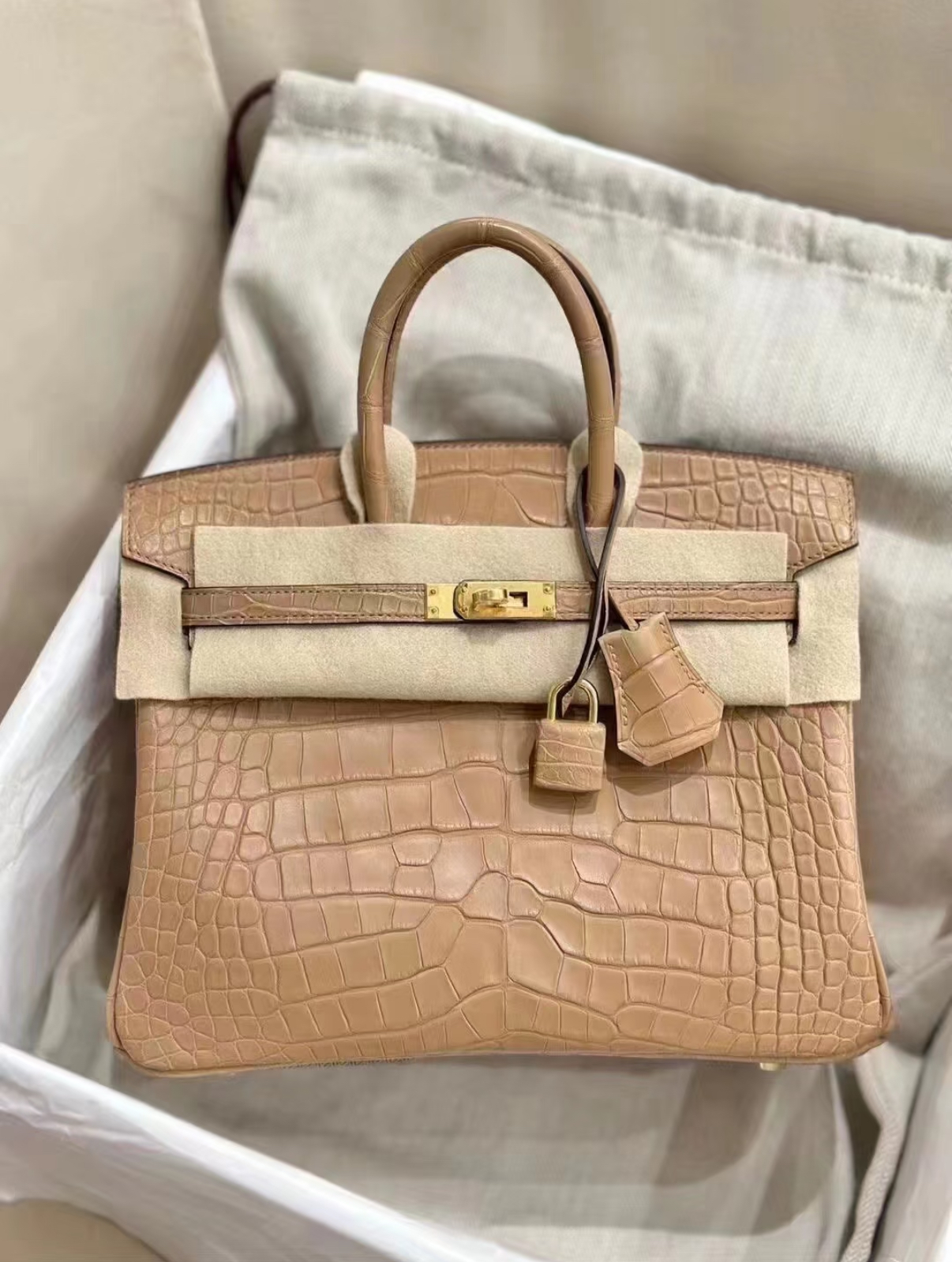 Birkin 25-30 Milk Tea Matte Crocodile Leather - MOVEMENTARTISAN