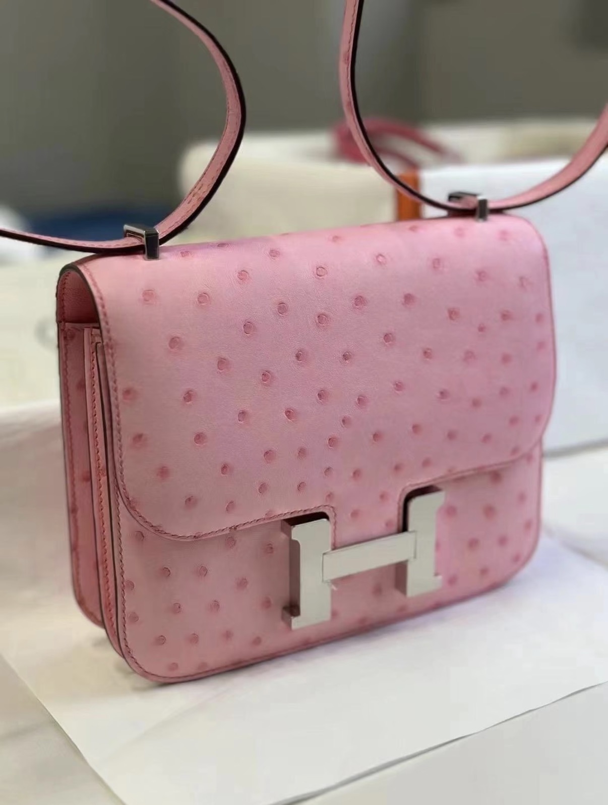 CONSTANCE 19 Bubblegum Pink Ostrich Leather Custom - MOVEMENTARTISAN