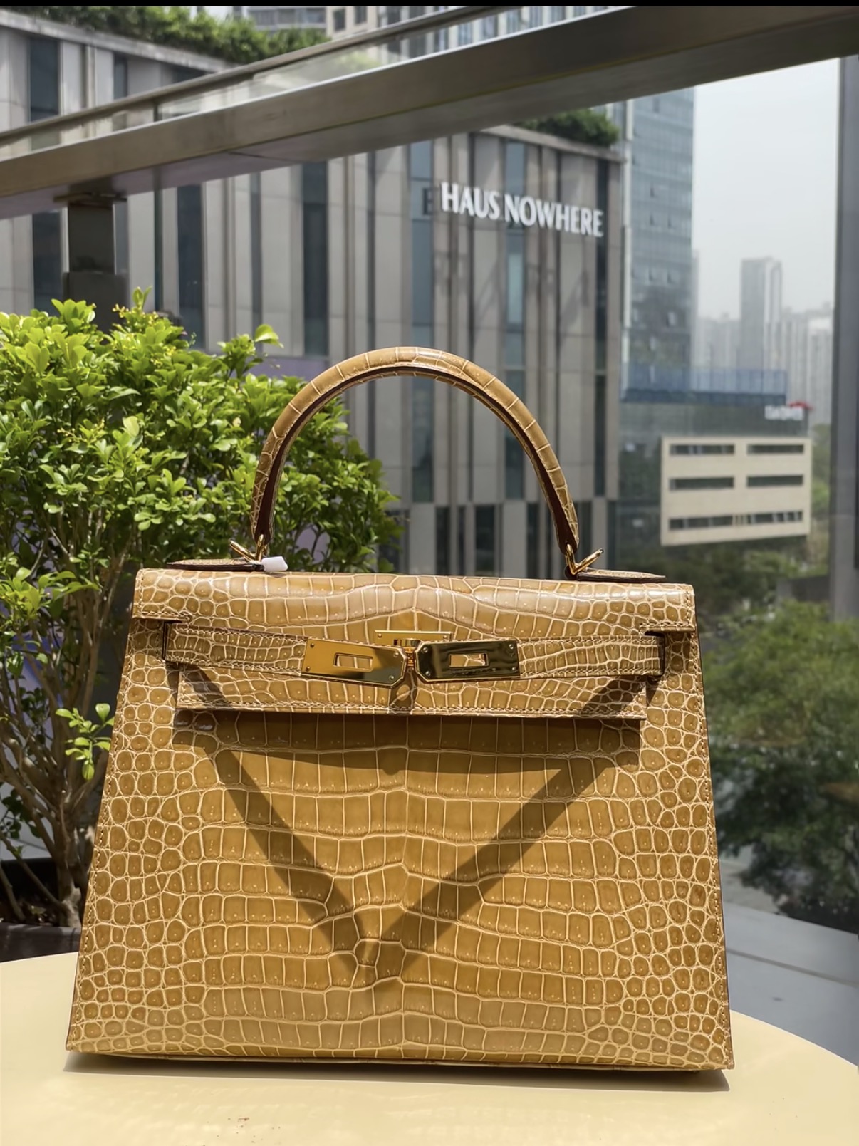 Kelly Dust-colored Glossy Crocodile Leather Custom - MOVEMENTARTISAN